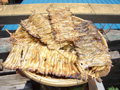 gal/09 - Divers/_thb_RIMG1887.jpg